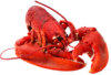 Le ½ Homard façon Paëlla